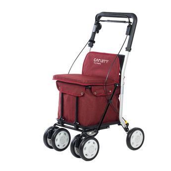 Chariot de course Lett 800